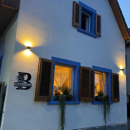 Ferienwohnung Blumenshein Bei Speyer Karlsruhe Familienfreundlich 5 Pers Zeiskam Eksteriør bilde