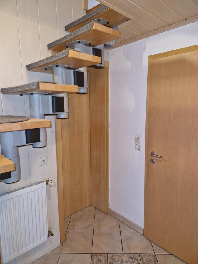 Ferienwohnung Blumenshein Bei Speyer Karlsruhe Familienfreundlich 5 Pers Zeiskam Eksteriør bilde
