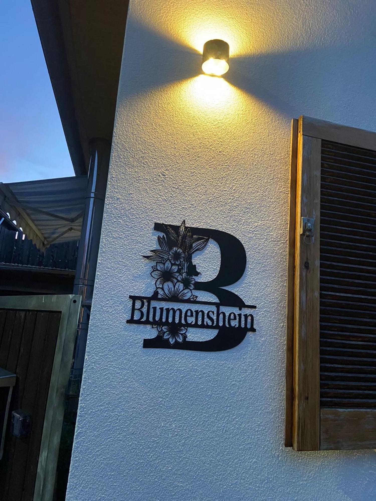 Ferienwohnung Blumenshein Bei Speyer Karlsruhe Familienfreundlich 5 Pers Zeiskam Eksteriør bilde