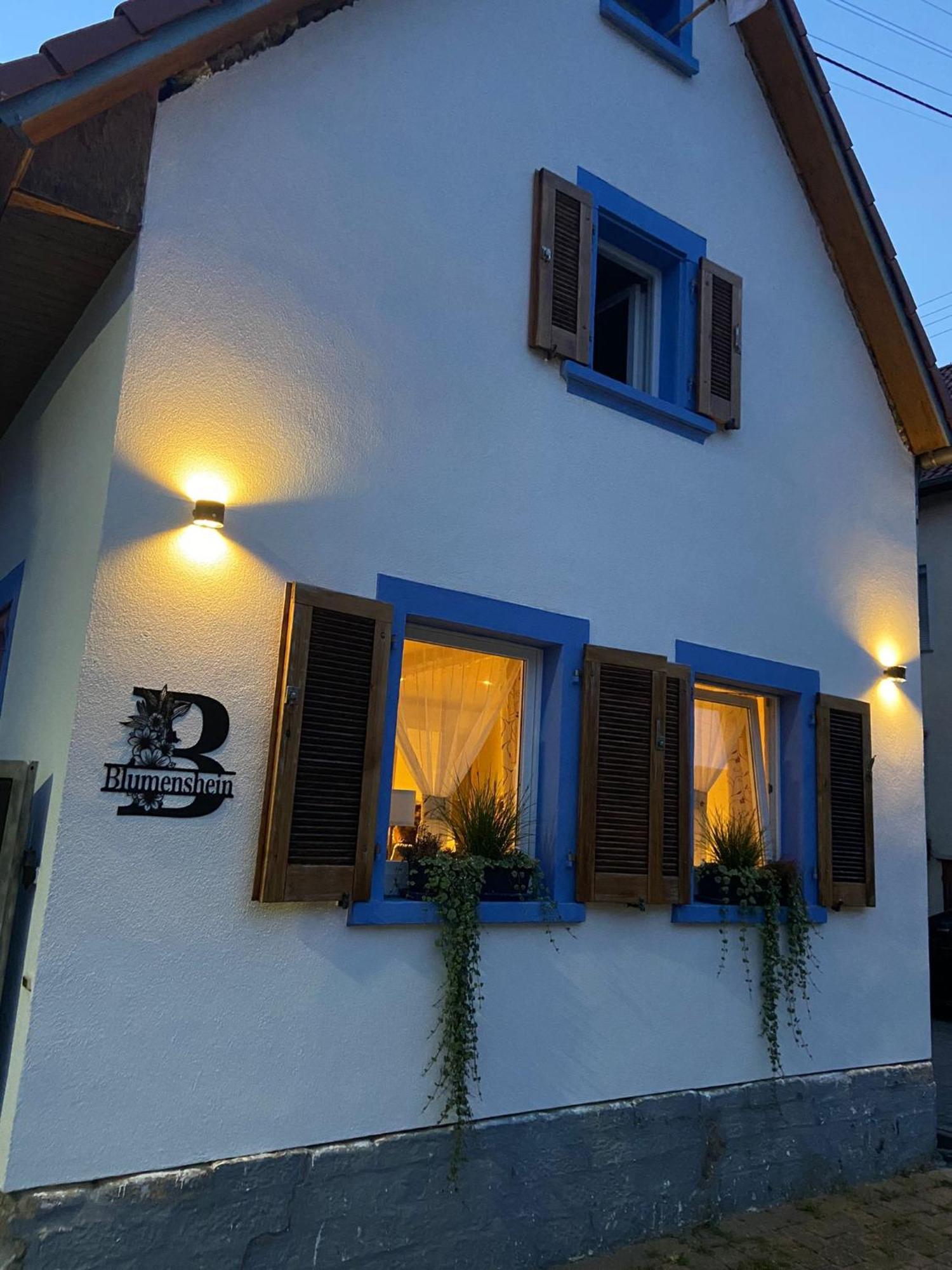 Ferienwohnung Blumenshein Bei Speyer Karlsruhe Familienfreundlich 5 Pers Zeiskam Eksteriør bilde